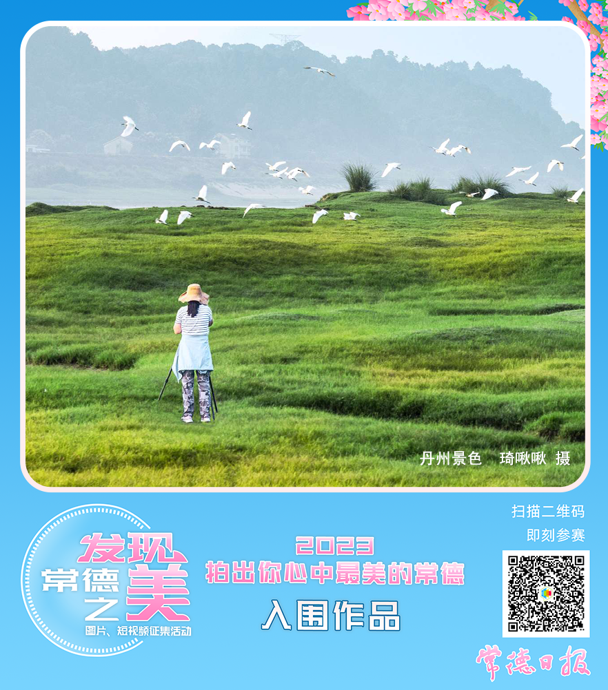 eed78451945341dbab43da6c73537ece.png