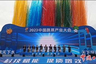 2023中國蔬菜產(chǎn)業(yè)大會(huì)在漢壽縣召開 我市將努力打造長江中下游最大“菜籃子”