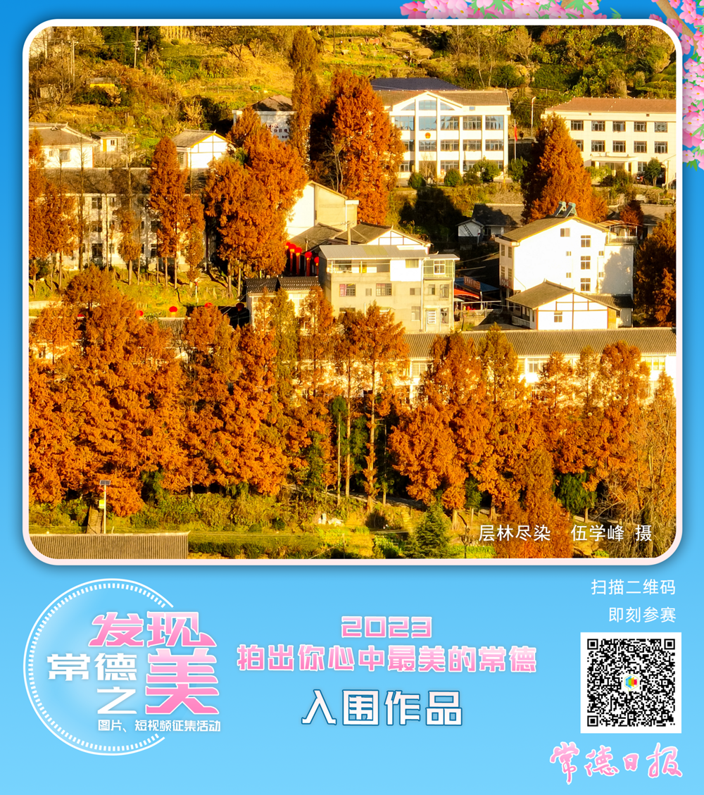 5278914cc6f841059ea65cc9da7b66e4.png