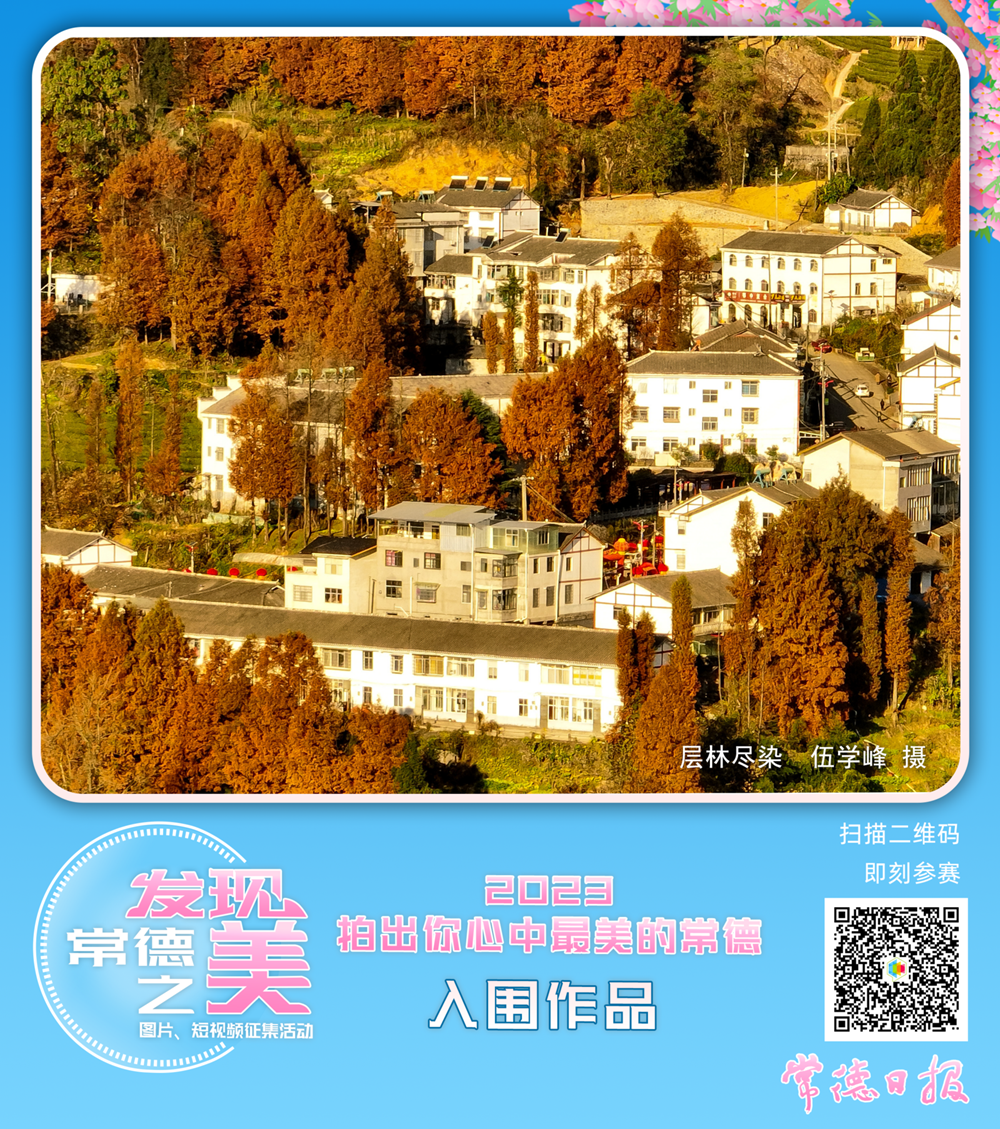 c5978c451e99403abdb71474c744fc7d.png