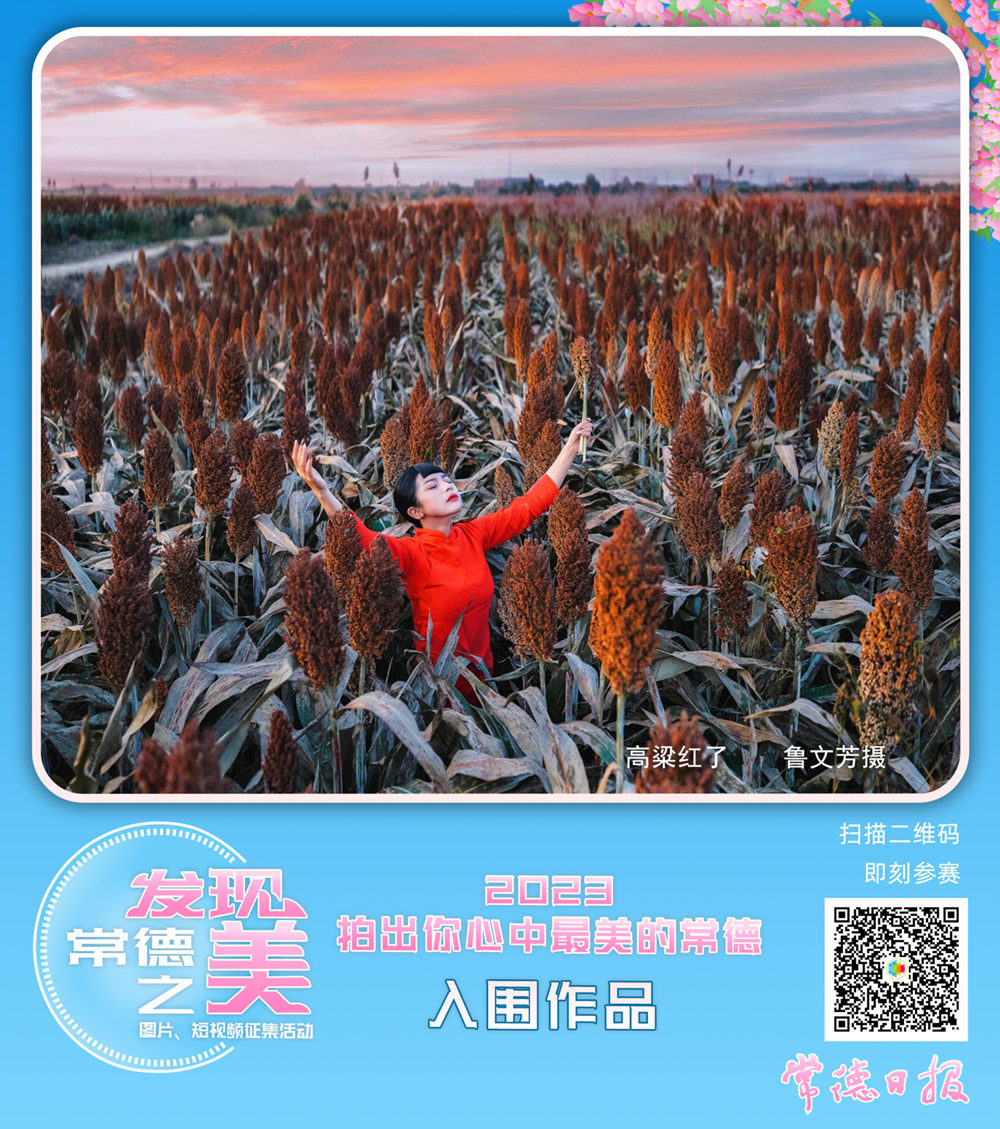 e154240c39bf473881921398138a8fc0.png
