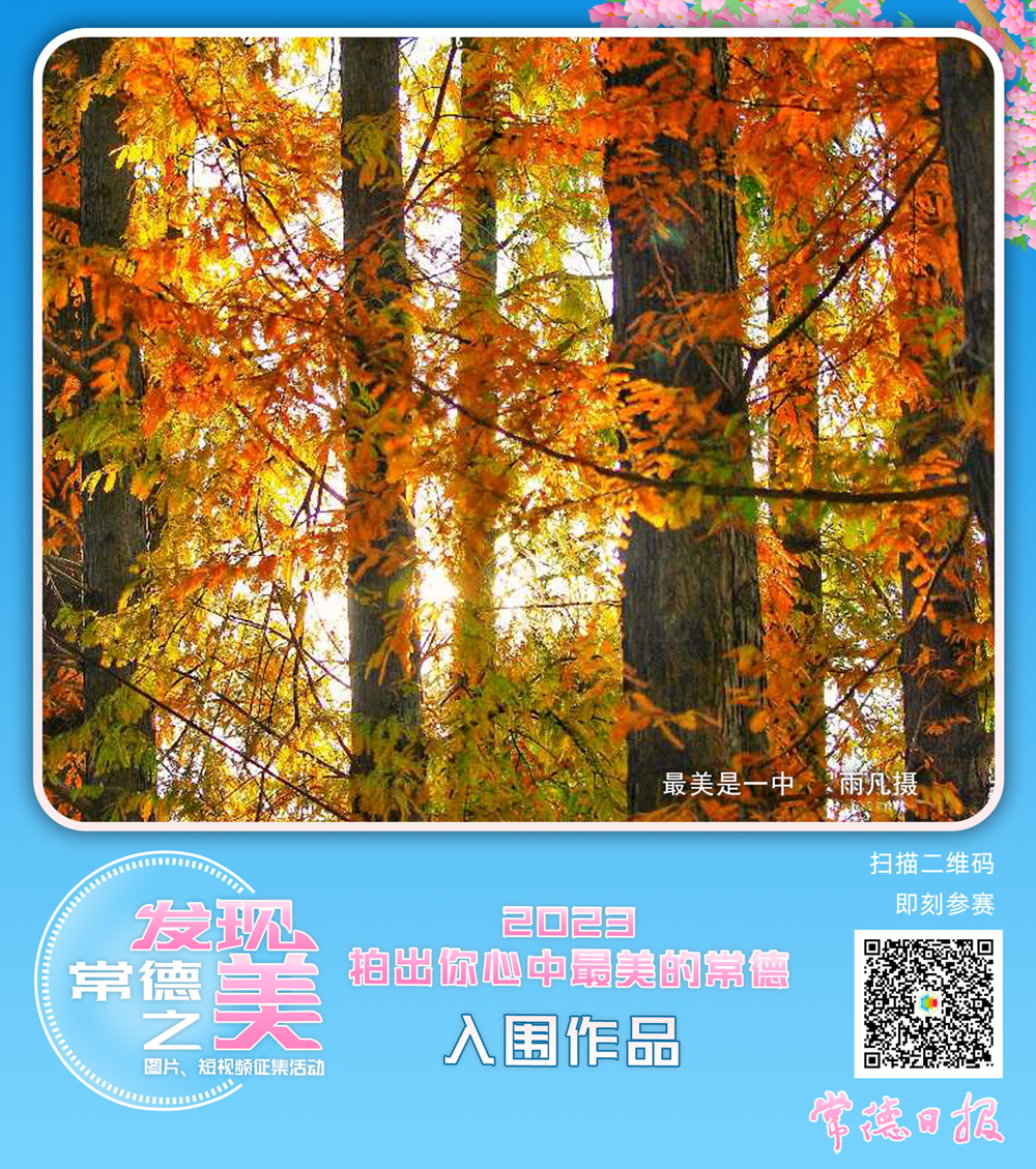 96eaa793c5a840bb9f7d3f8e3af43afe.png