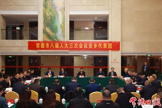 曹志強(qiáng)參加安鄉(xiāng)代表團(tuán)審議