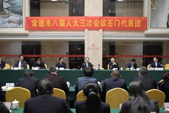 周振宇參加石門、漢壽代表團分組審議
