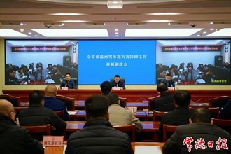 我市召開低溫雨雪冰凍災(zāi)害防御工作視頻調(diào)度會(huì)