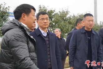市領導調研災后農業(yè)生產恢復工作
