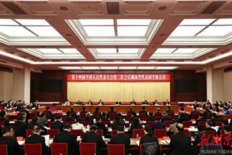 湖南代表團(tuán)舉行第五次全體會(huì)議