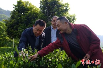 市領(lǐng)導(dǎo)率隊(duì)到石門縣調(diào)研茶葉產(chǎn)業(yè)發(fā)展情況