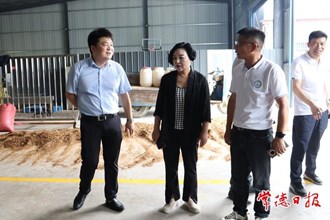 市領(lǐng)導到石門縣花園臺村調(diào)研鄉(xiāng)村振興工作