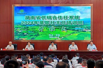 全省供銷合作社系統(tǒng)基層社主任培訓(xùn)班在常開班
