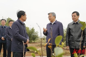 李殿勛在常德調(diào)研：堅持依靠深化改革 加快推進鄉(xiāng)村全面振興