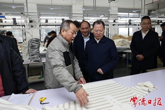 周振宇赴桃源縣調(diào)研督導(dǎo)強(qiáng)調(diào)：筑牢防線保安全 強(qiáng)化服務(wù)促發(fā)展