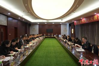 周振宇參加津市代表團審議