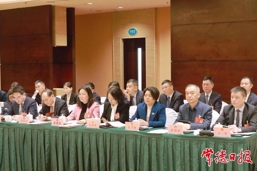 審議現(xiàn)場2