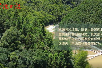 【鄉(xiāng)村振興沅澧行】你好，網紅村