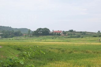 津市：有序推進農(nóng)藥減量 助力農(nóng)業(yè)綠色發(fā)展
