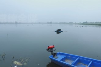 安鄉(xiāng)：以魚治水 以魚凈水