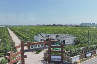 西湖：梨園喜結致富果 產業(yè)盡顯 “科技范”
