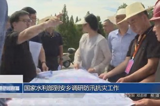 水利部到安鄉(xiāng)調研防汛抗災工作