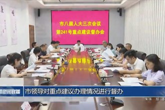 市領導對重點建議辦理情況進行督辦