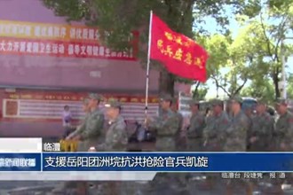 臨澧：支援岳陽團洲垸抗洪搶險官兵凱旋