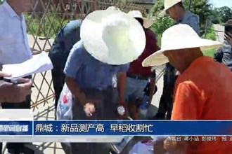 鼎城：新品測產(chǎn)高 早稻收割忙