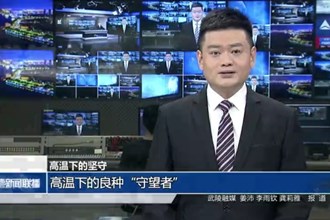 武陵：高溫下的良種“守望者”