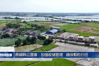 鼎城韓公渡鎮(zhèn)：加強(qiáng)收儲管理，確保顆粒歸倉
