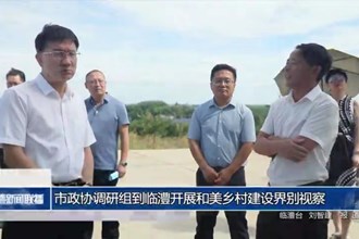 市政協(xié)調(diào)研組到臨澧開展和美鄉(xiāng)村建設(shè)界別視察