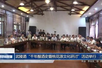 武陵酒“千年釀酒史暨桃花源文化研討”活動(dòng)舉行