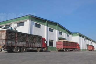 津市：嚴把糧食入庫質(zhì)量關(guān) 筑牢糧食安全“壓艙石”
