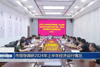 市領導調(diào)研2024年上半年經(jīng)濟運行情況