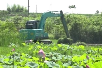 津市：荒地變良田 增收又增效