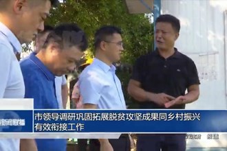 市領導調(diào)研鞏固拓展脫貧攻堅成果同鄉(xiāng)村振興有效銜接工作