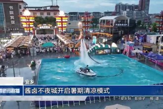 安鄉(xiāng)：醬鹵不夜城開啟暑期清涼模式