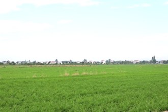 鼎城區(qū)韓公渡鎮(zhèn)：植保無(wú)人機(jī)為晚稻保駕護(hù)航