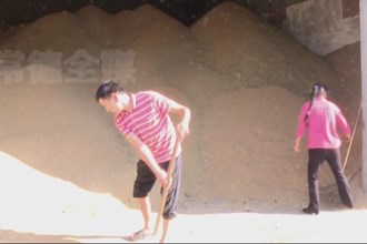 漢壽：創(chuàng)新收購方式 守護糧食安全