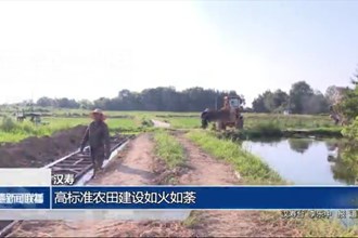 漢壽：高標準農(nóng)田建設(shè)如火如荼