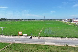 鼎城區(qū)謝家鋪鎮(zhèn)：晚稻培管正當(dāng)時 禾綠苗壯望豐收