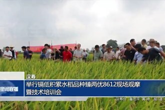 漢壽：舉行鎘低積累水稻品種臻兩優(yōu)8612現(xiàn)場觀摩暨技術(shù)培訓會