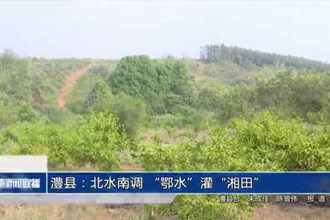 澧縣：北水南調(diào) “鄂水”灌“湘田”