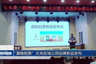 安鄉(xiāng)：“潺陵稻香”大米區(qū)域公用品牌新品發(fā)布