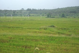 常德經(jīng)開區(qū)石門橋鎮(zhèn)：推進(jìn)“小農(nóng)水”工程 保障糧食豐產(chǎn)