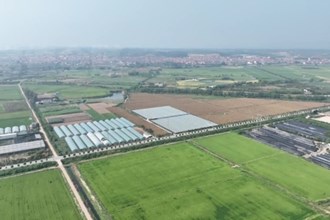 澧縣：一噴多促”助力秋糧豐產豐收