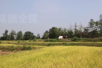 津市：“旱改水”項(xiàng)目見(jiàn)成效
