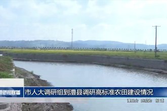 市人大調(diào)研組到澧縣調(diào)研高標(biāo)準(zhǔn)農(nóng)田建設(shè)情況