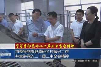 市領(lǐng)導(dǎo)到澧縣調(diào)研鄉(xiāng)村振興工作并宣講黨的二十屆三中全會(huì)精神