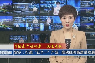 安鄉(xiāng)：打造“五個(gè)一”產(chǎn)業(yè) 推動(dòng)經(jīng)濟(jì)高質(zhì)量發(fā)展
