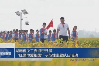 湖南省少工委組織開展“紅領(lǐng)巾愛祖國”示范性主題隊日活動