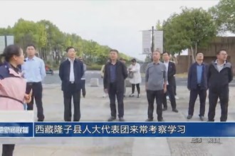 西藏隆子縣人大代表團來?？疾鞂W習